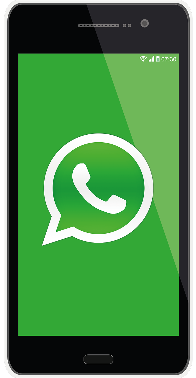 滚球体育APP，您的移动体育世界