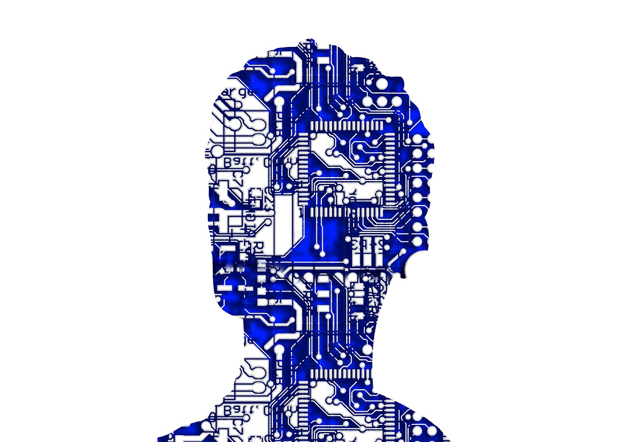 手绘体育器材，运动世界的艺术与科学